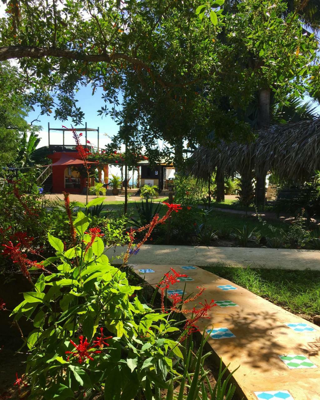 Katamah Beachfront Guesthouse Treasure Beach Exteriér fotografie