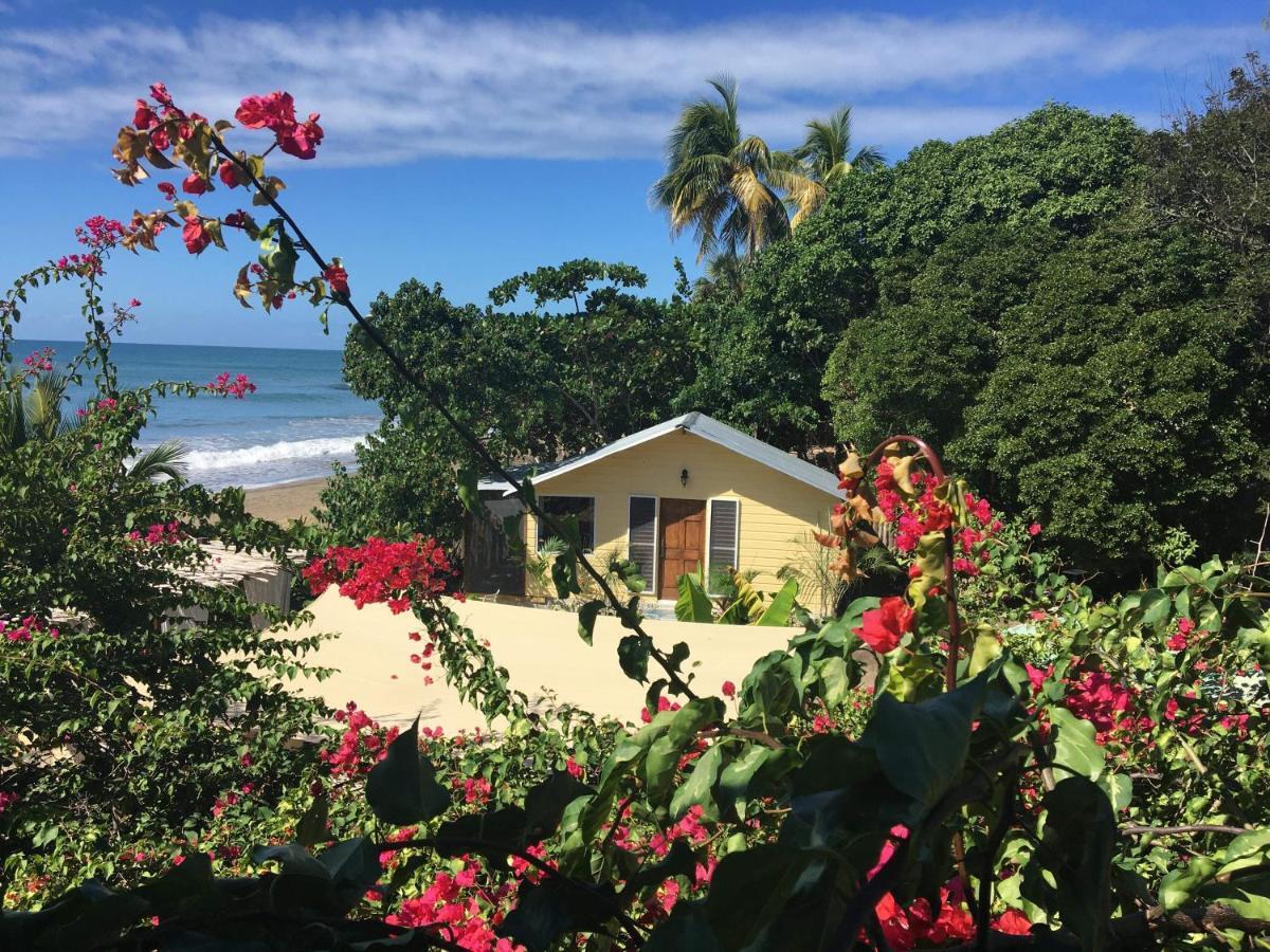 Katamah Beachfront Guesthouse Treasure Beach Exteriér fotografie